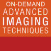 2022 Advanced Imaging Techniques: OnDemand – (ASELearningHub) (Videos)