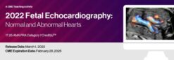 2022 Fetal Echocardiography Normal and Abnormal Hearts