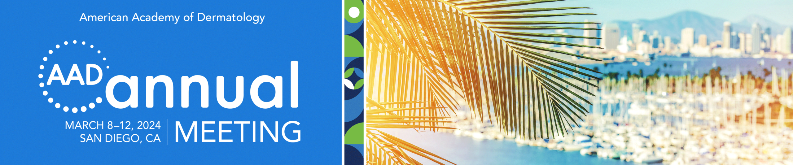 2024 Dermatology ANNUAL MEETING ON-DEMAND