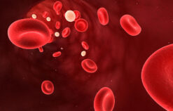 Hematology / Oncology