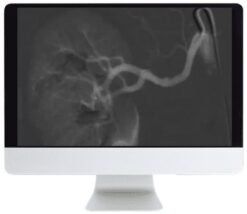 ARRS Case-Based Subspecialty Review 2021