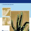 An Evidence-Based Approach To The Fingertip Diseases (Original PDF From Publisher)