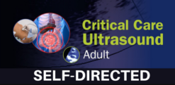Critical Care Ultrasound Adult Self-Directed 2020