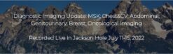 Diagnostic Imaging Update: MSK; Chest&CV; Abdominal; Genitourinary; Breast; Oncological Imaging 2022 (Videos)