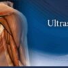Pegasus Complete MSK Ultrasound eCourse pack 2022