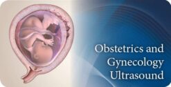 Pegasus Lectures Complete OB/GYN Review Ultrasound Video Course
