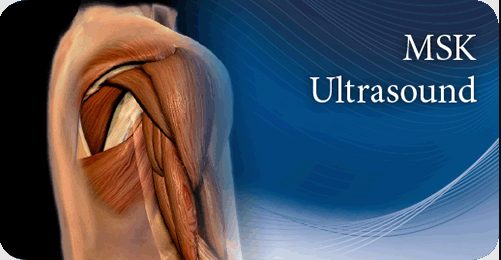 Pegasus Musculoskeletal Ultrasound eCourse 2023
