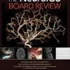 The NeuroICU Board Review (Original PDF From Publisher)