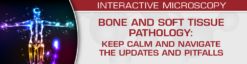 USCAP Bone and Soft Tissue Pathology: Keep Calm and Navigate the Updates and Pitfalls 2024