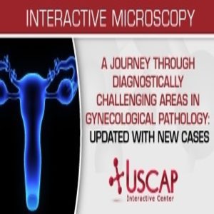 A Journey Through Diagnostically Challenging Areas in Gynecologic Pathology Updated with New Cases 2019 ( VIDEOS)