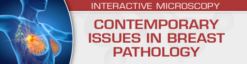 2023 USCAP Contemporary Issues in Breast Pathology