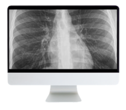 Case-Based Imaging Review Online Course 2022