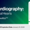 2023 Fetal Echocardiography: Normal and Abnormal Hearts