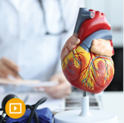 The Brigham Board Review and Comprehensive Update in Cardiology 2023