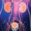 Comprehensive Review of Urology 2024