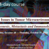 39th Annual Critical Issues in Tumor Microenvironment: Angiogenesis, Metastasis and Immunology 2024 (Videos + Slides)