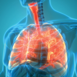 The Brigham Board Review and Comprehensive Update in Pulmonary Medicine 2025 (Videos + Slides)