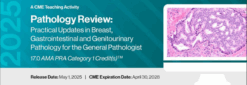 2025 Pathology Review: Practical Updates in Breast, Gastrointestinal and Genitourinary Pathology for the General Pathologist