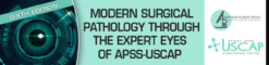 Sixth Edition: Modern Surgical Pathology Through the Expert Eyes of APSS-USCAP 2025