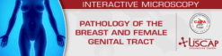 USCAP Pathology of the Breast and Female Genital Tract 2025