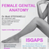 Master Genital Rejuvenation: A Comprehensive Video Course on Anatomy and Injection Techniques by Mat Stefaneli