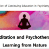 Harvard Meditation and Psychotherapy: Learning from Nature 2025