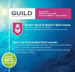 GUILD Maui 2025 (Videos with subtitles + Slides)