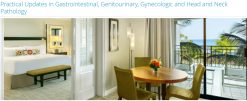 Scientific Symposiums International Practical Updates in Gastrointestinal, Genitourinary, Gynecologic and Head and Neck Pathology 2025