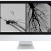 ARRS Case Review of Vascular and Interventional Radiology 2023 (Videos)
