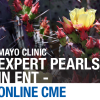 Mayo Clinic Expert Pearls in ENT 2020