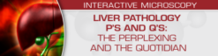 USCAP Liver Pathology P’s and Q’s: The Perplexing and the Quotidian 2022