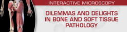 Dilemmas and Delights in Bone and Soft Tissue Pathology 2023