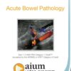 AIUM Point-of-Care Ultrasound Assessment of Acute Bowel Pathology