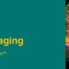 Noninvasive Vascular Imaging 2019