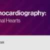2022 Fetal Echocardiography Normal and Abnormal Hearts