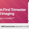 2023 Advances in First Trimester Ultrasound Imaging