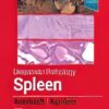 Diagnostic Pathology: Spleen, 2nd Edition (Original PDF from Publisher)