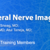 ARRS 2023 Symposium Plexus and Peripheral Nerve Imaging (MRI/US) (Videos)