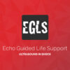 ECHO-Guided Life Support Using ultrasound to categorise shock and guide initial management (CME VIDEOS)