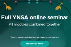 Full YNSA online seminar