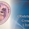 Pegasus Lectures Complete OB/GYN Review Ultrasound Video Course