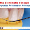 The Biomimetic Concept: Composite Restoration Protocols