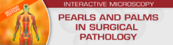 USCAP Second Edition: Pearls and Palms in Surgical Pathology 2023