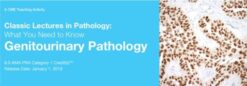 2019 Classic Lectures in Pathology: What You Need to Know: Genitourinary Pathology (CME Videos)