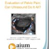 Evaluation of Pelvic Pain: Can Ultrasound Do It All?