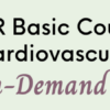 SPR 2021 18th Basic Course on Pediatric Cardiovascular MRI On-Demand