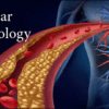 Pegasus Vascular Technology Review 2022 (CME VIDEOS)