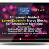 Gulfcoast: Ultrasound-Guided Lower Extremity Nerve Blocks for Emergency Medicine
