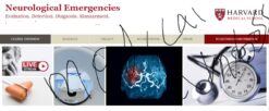 Harvard Neurological Emergencies 2024