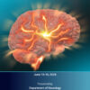 Comprehensive Stroke Update 2024